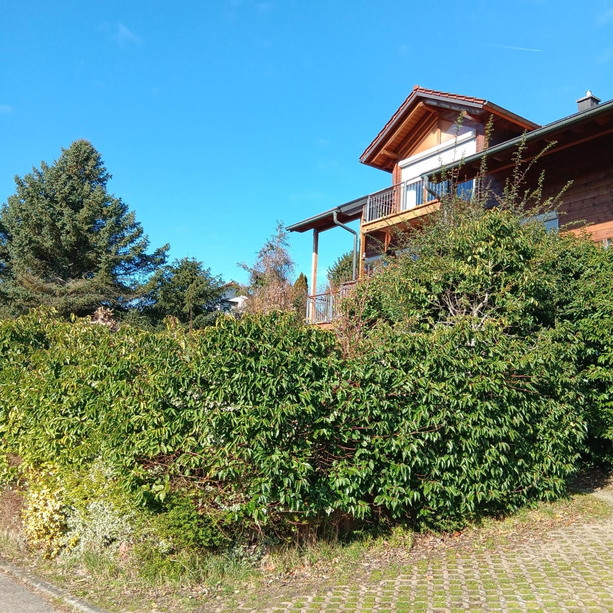 Gartenapartment Auf Der Hoeri In Wangen Ohningen Zewnętrze zdjęcie